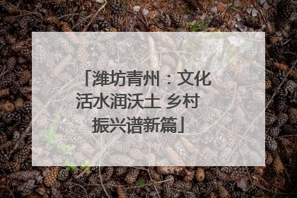潍坊青州：文化活水润沃土 乡村振兴谱新篇